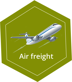 Cargo Haven Logistics services | air freight